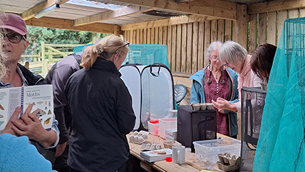 The Relaxed Sanctuary at Cadbury Cottage