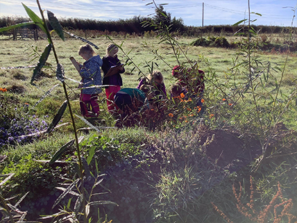 Sustainable Chulmleigh ... Working towards a greener future
