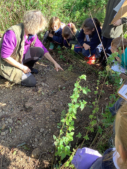 Sustainable Chulmleigh ... Working towards a greener future