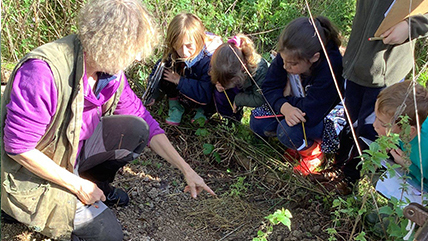The Relaxed Sanctuary at Cadbury Cottage