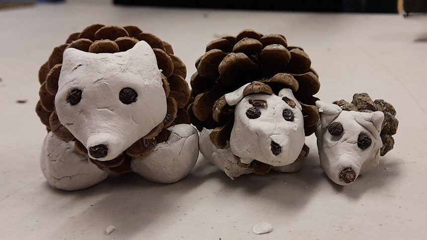 The Relaxed Sanctuary at Cadbury Cottage