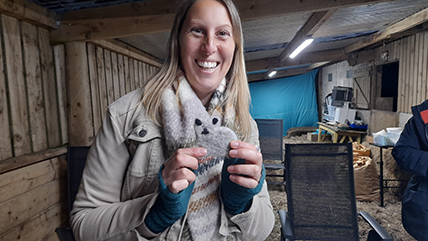 The Relaxed Sanctuary at Cadbury Cottage